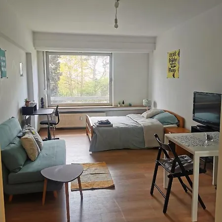 Homestay Big Cozy In Center - Shared Flat With 1 Luxembourg